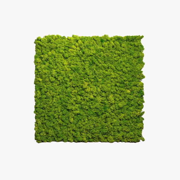 Moss Panel