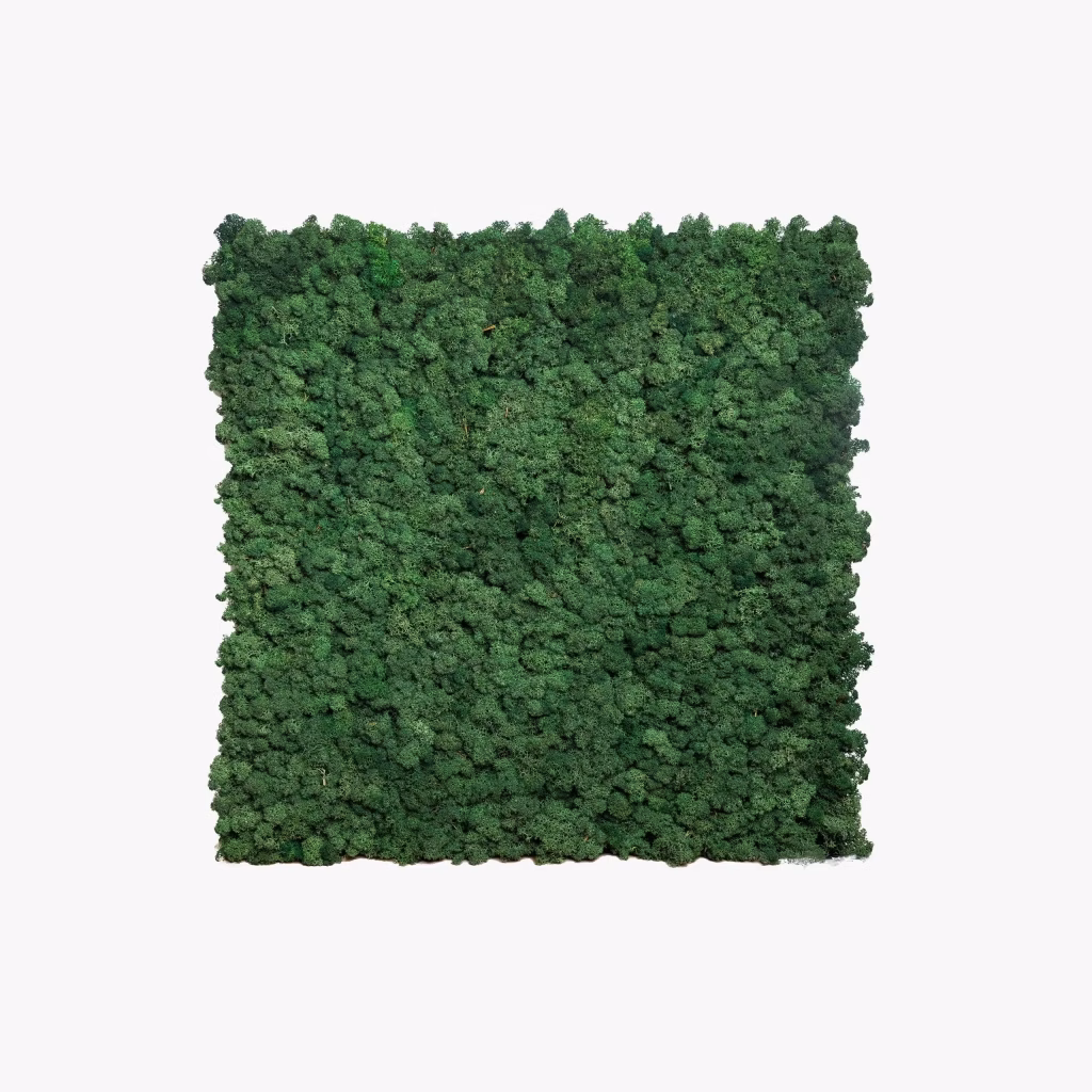 Image 1 of 4 in Moss Panel gallery