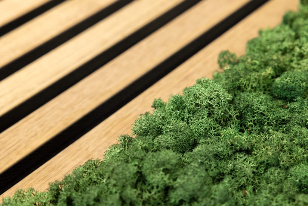 Moss panel closeup next to classic oak, black felt akupanel