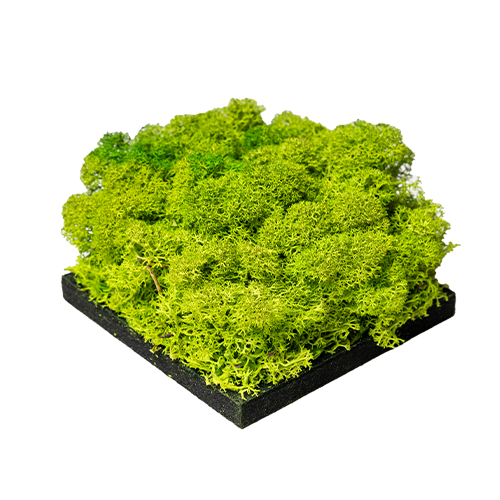 Image 1 of 2 in Apple Green | Moss panel – Sample gallery